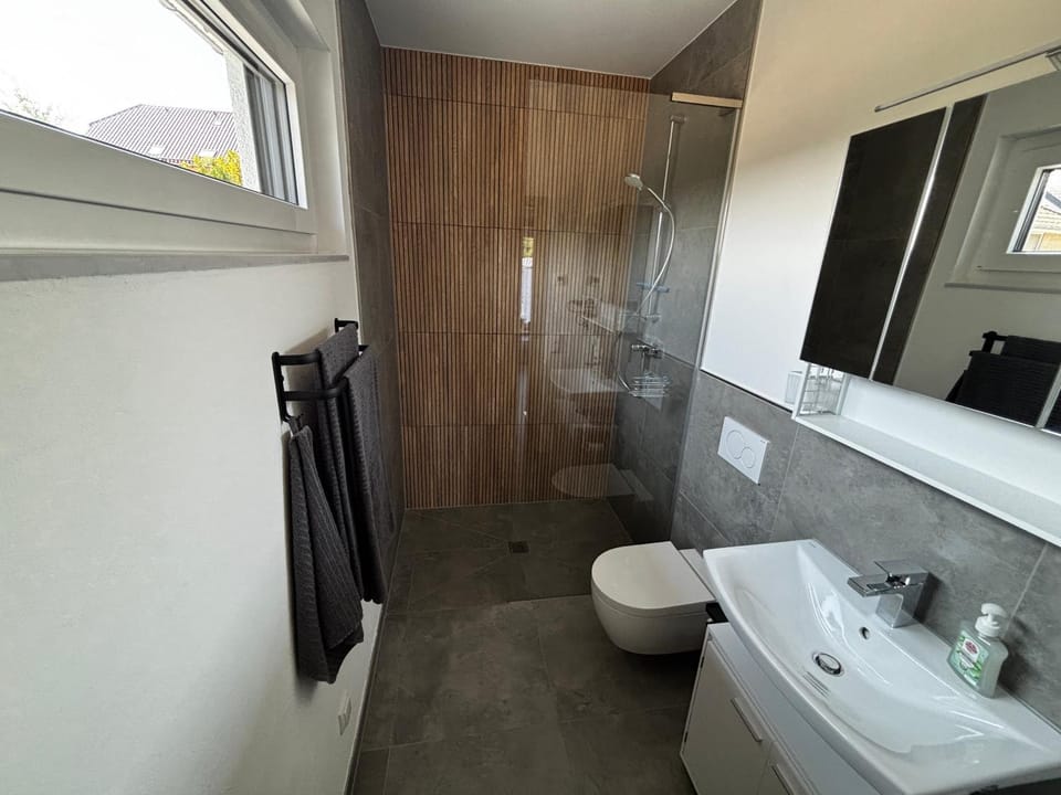 Shower, Toilet, Bathroom, towels