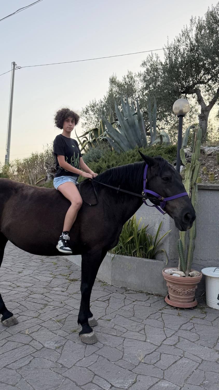 Day, People, Horse-riding, Animals, children