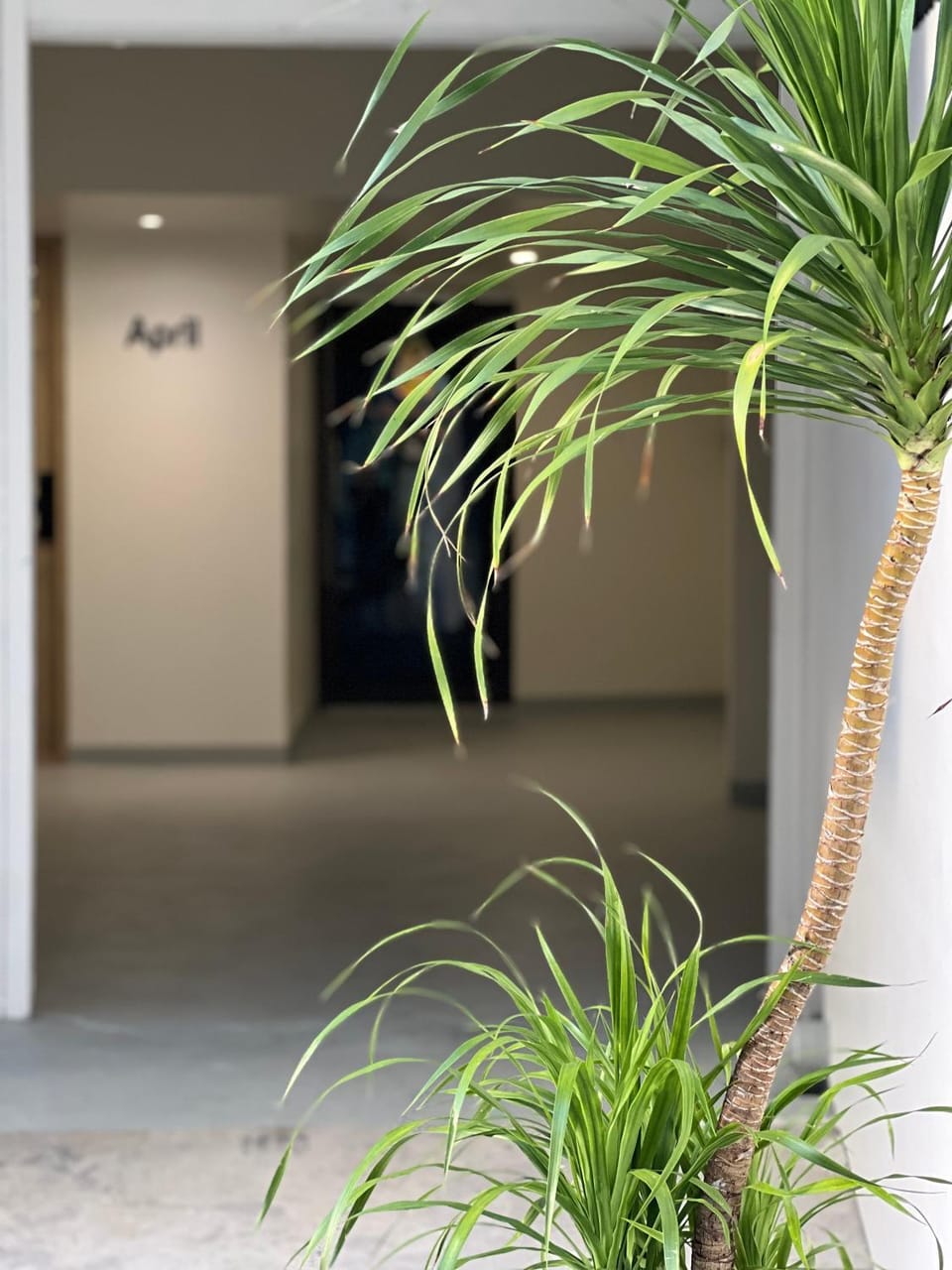 April Ari-Saphankhwai Inn in Bangkok