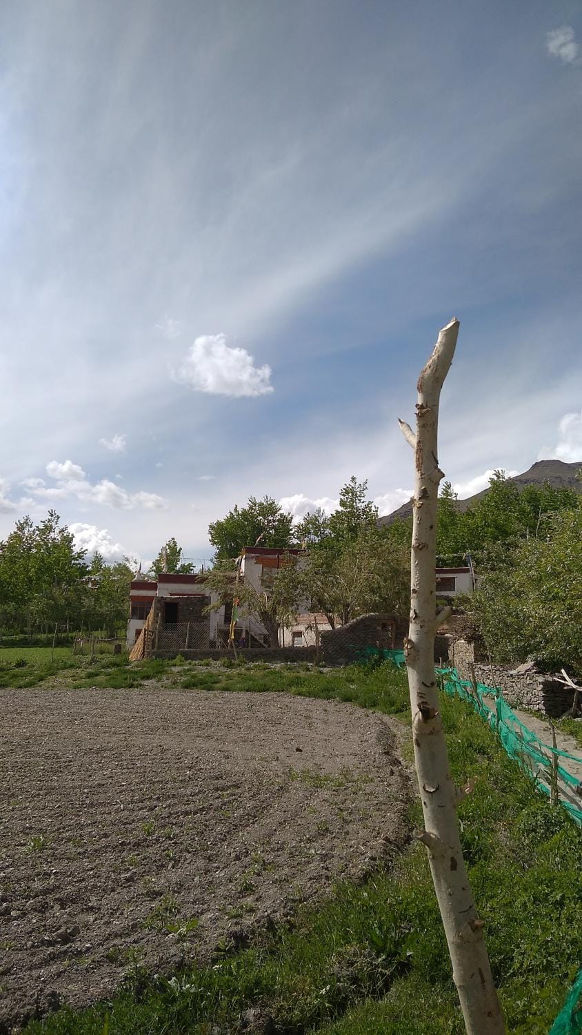 THE WILD ROSE LADAKH homestay Vacation rental in India