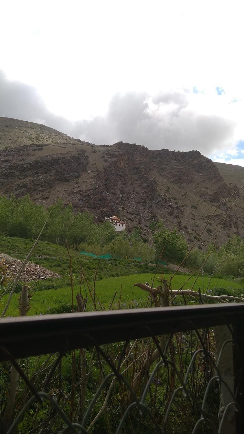 THE WILD ROSE LADAKH homestay Vacation rental in India