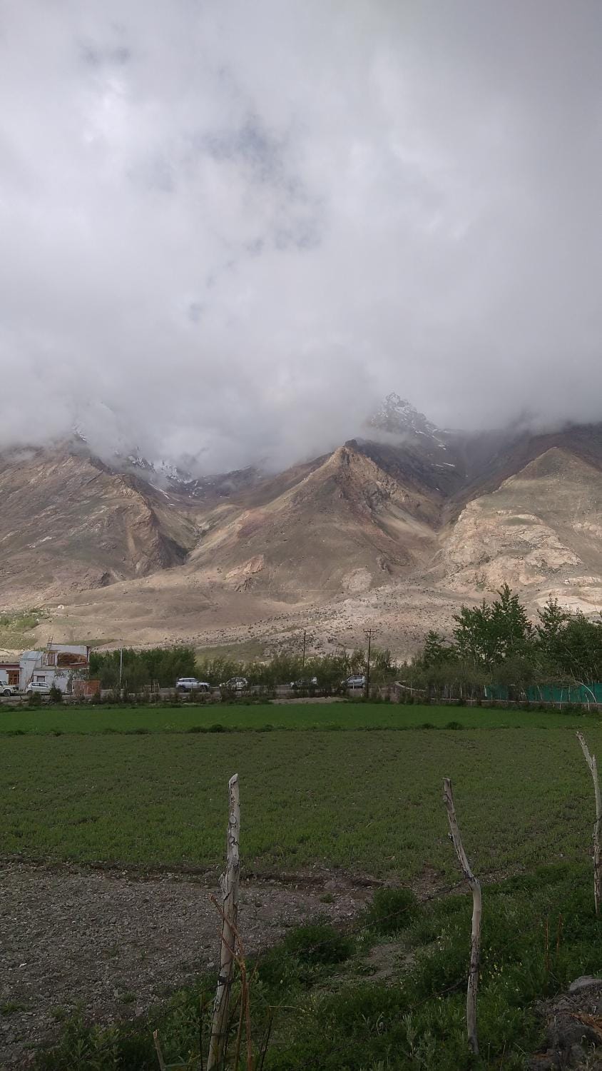 THE WILD ROSE LADAKH homestay Vacation rental in India