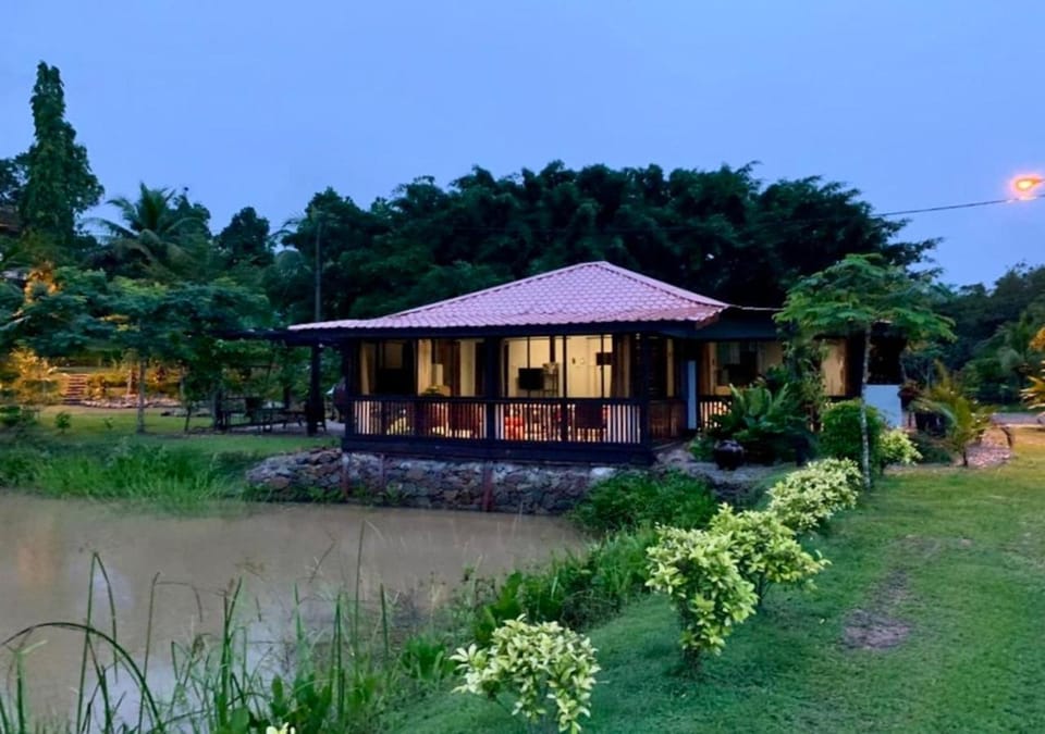 Lake view