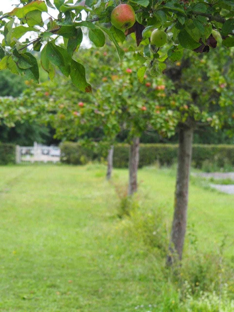 Maison du Verger House in Normandy