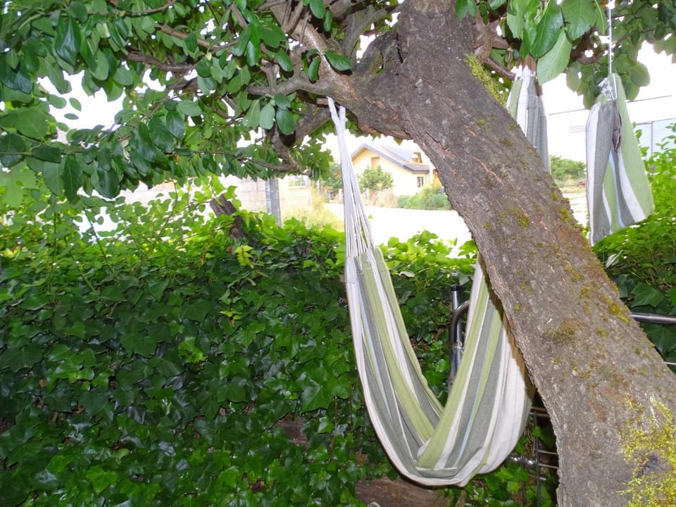 Garden, Garden view