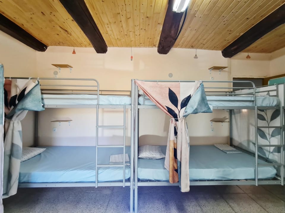 Bed, Photo of the whole room, Bedroom, bunk bed