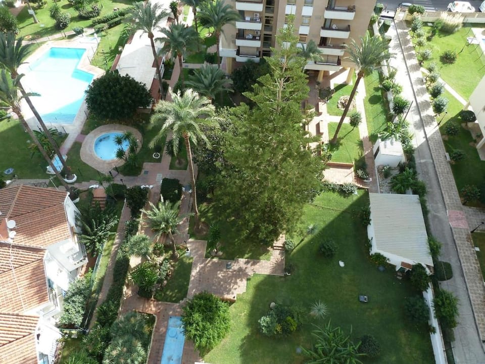 Property building, Bird's eye view, Garden