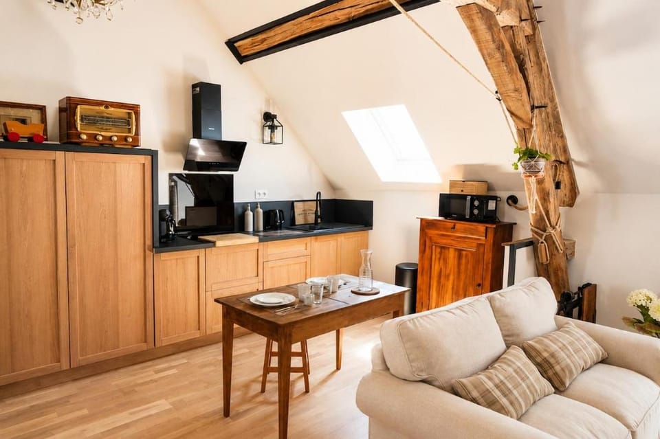 Le Grenier - Air conditioning - Free parking Apartment in Centre-Val de Loire
