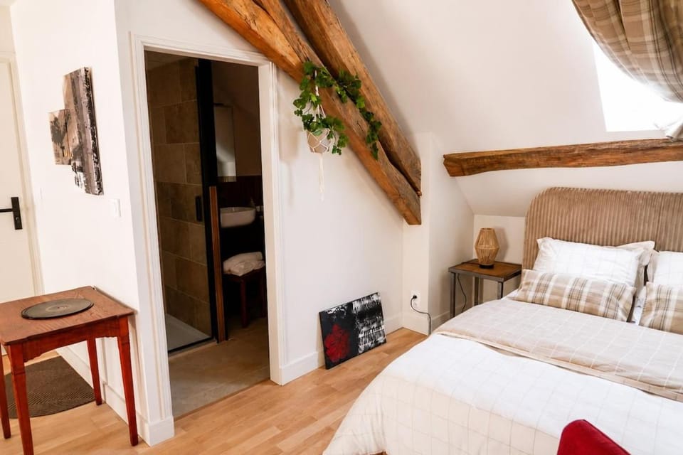 Le Grenier - Air conditioning - Free parking Apartment in Centre-Val de Loire