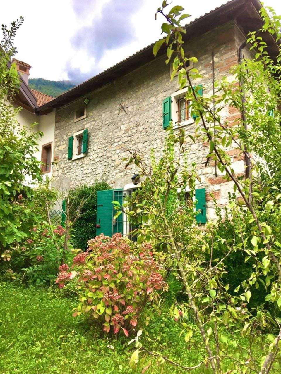 Property building, Garden, Garden view