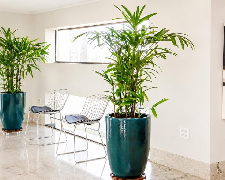Hotel Imperador Hotel in State of Tocantins