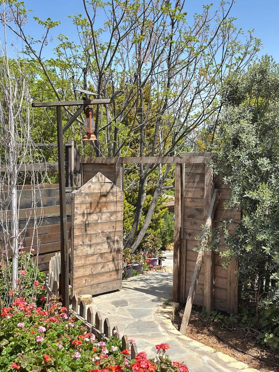 Fashet alsalt-فشة السلط Nature lodge in Africa