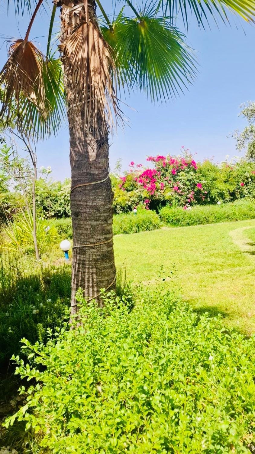 Family villa Farm Stay in Marrakesh