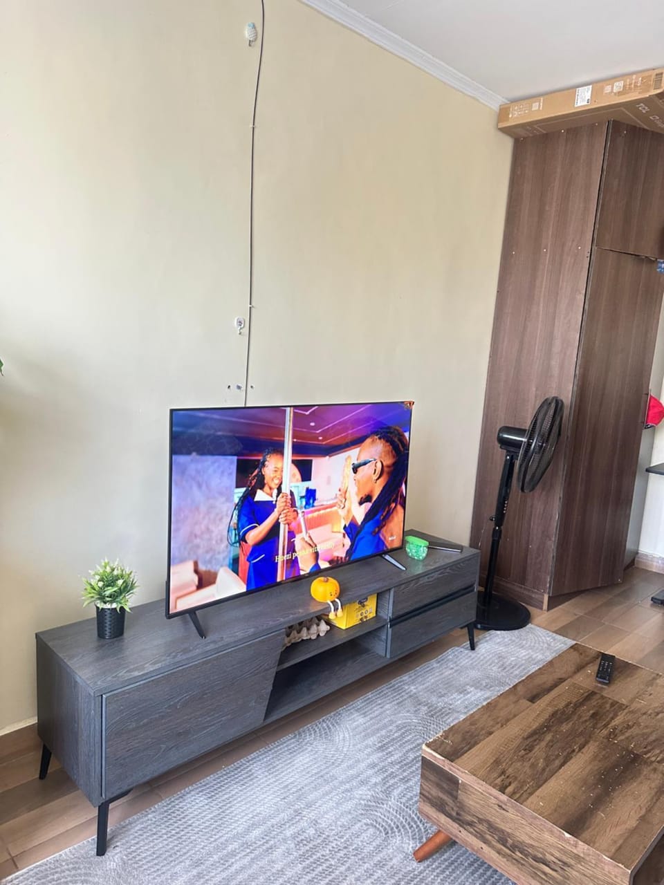 TV and multimedia