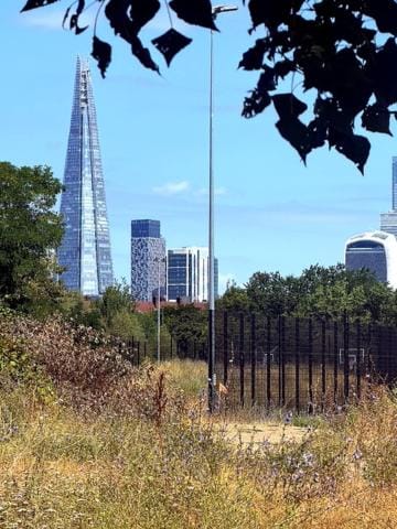 Peaceful Retreat Central London with Free Parking House in London Borough of Southwark