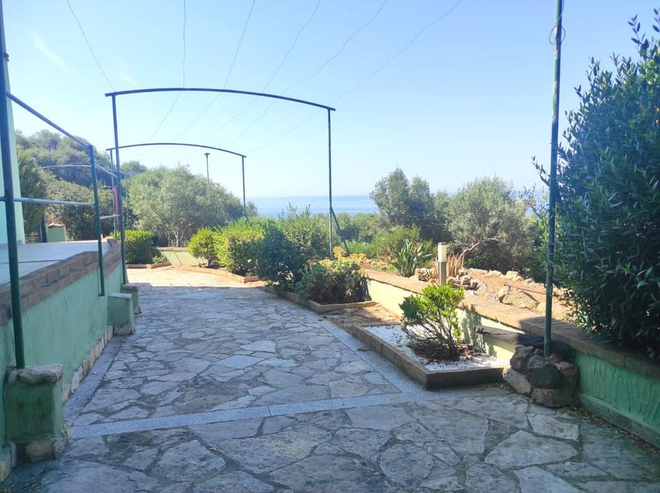 Natural landscape, Garden, Garden, Garden view, Sea view