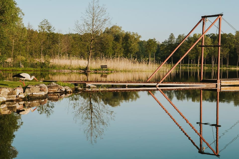 Spring, Natural landscape, Activities, Lake view