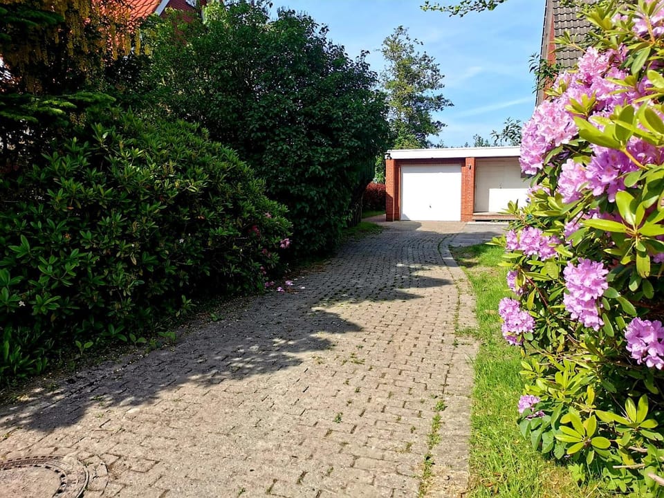 Property building, Spring