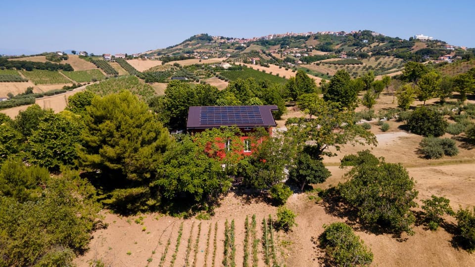 Property building, Spring, Day, Natural landscape