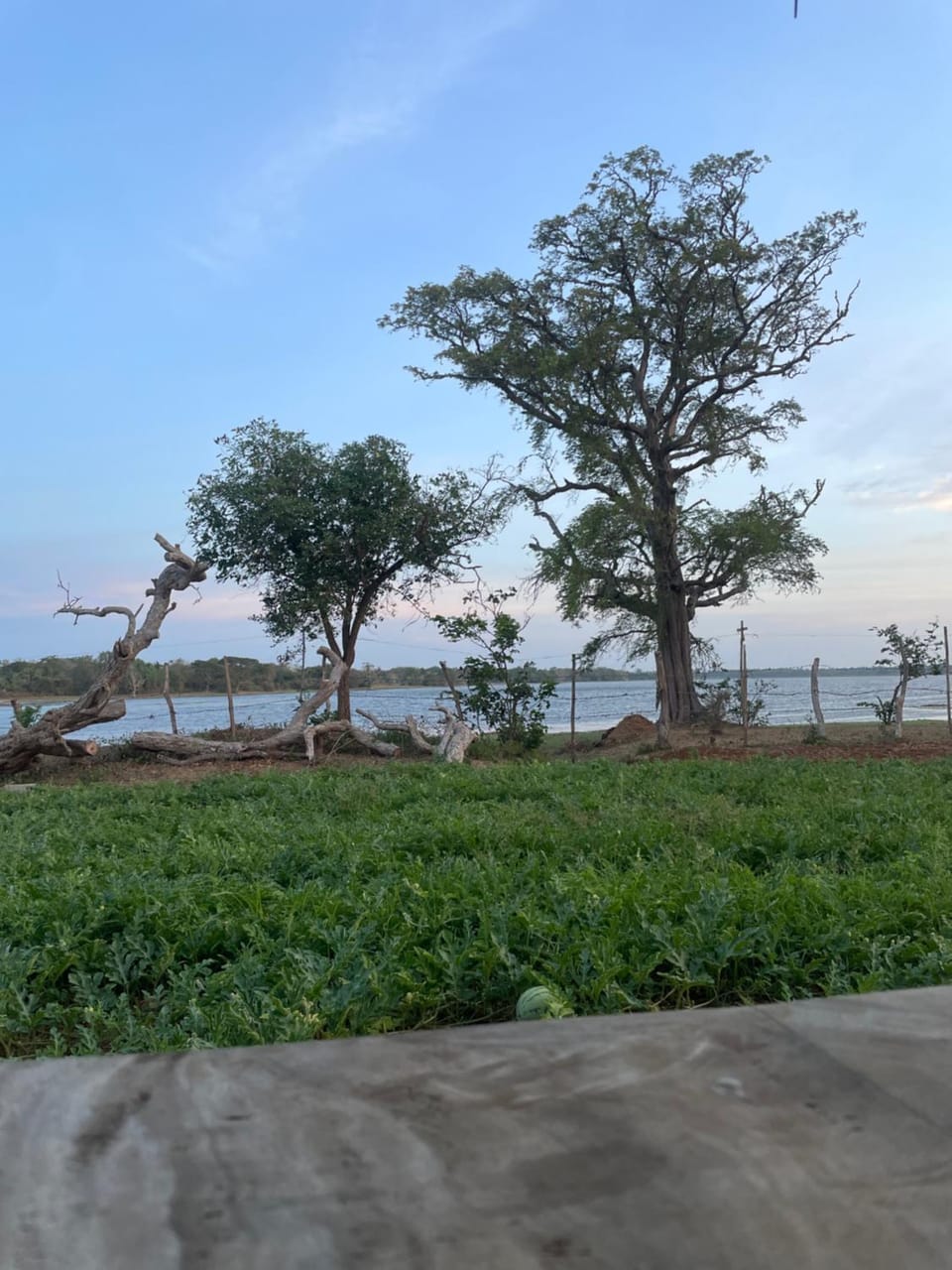 Foresta yala Hotel in Southern Province