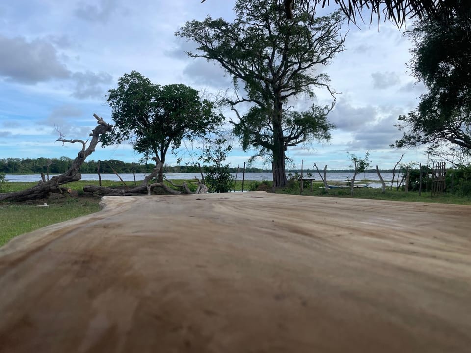 Foresta yala Hotel in Southern Province