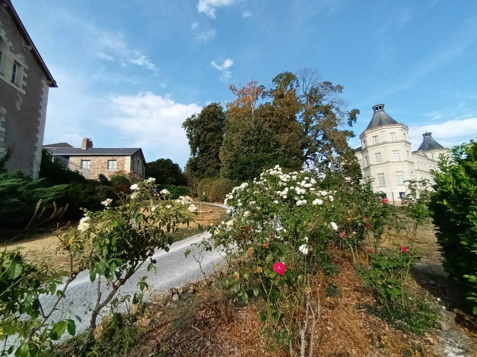 Landmark view
