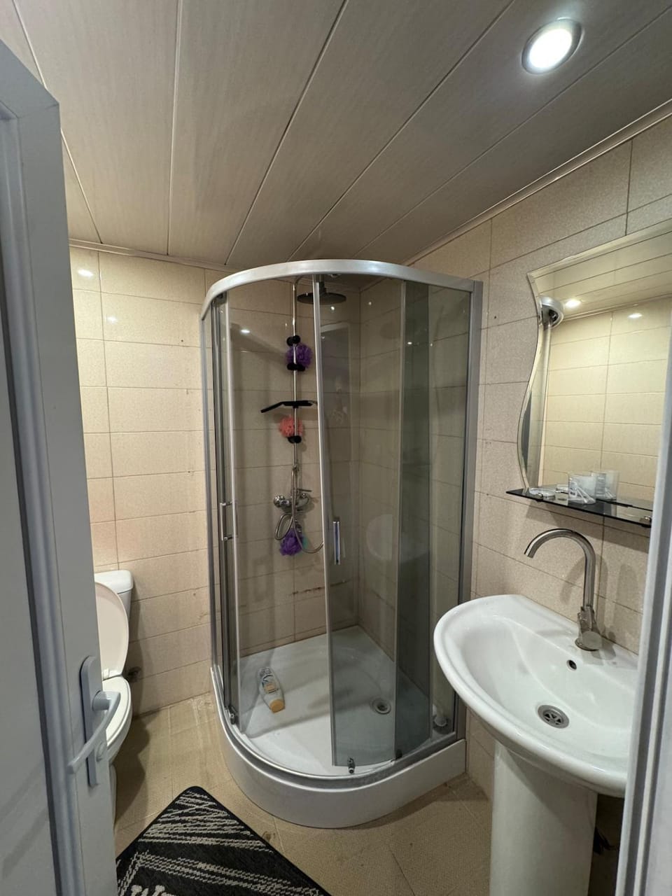 Shower, Toilet, Bathroom, Bath