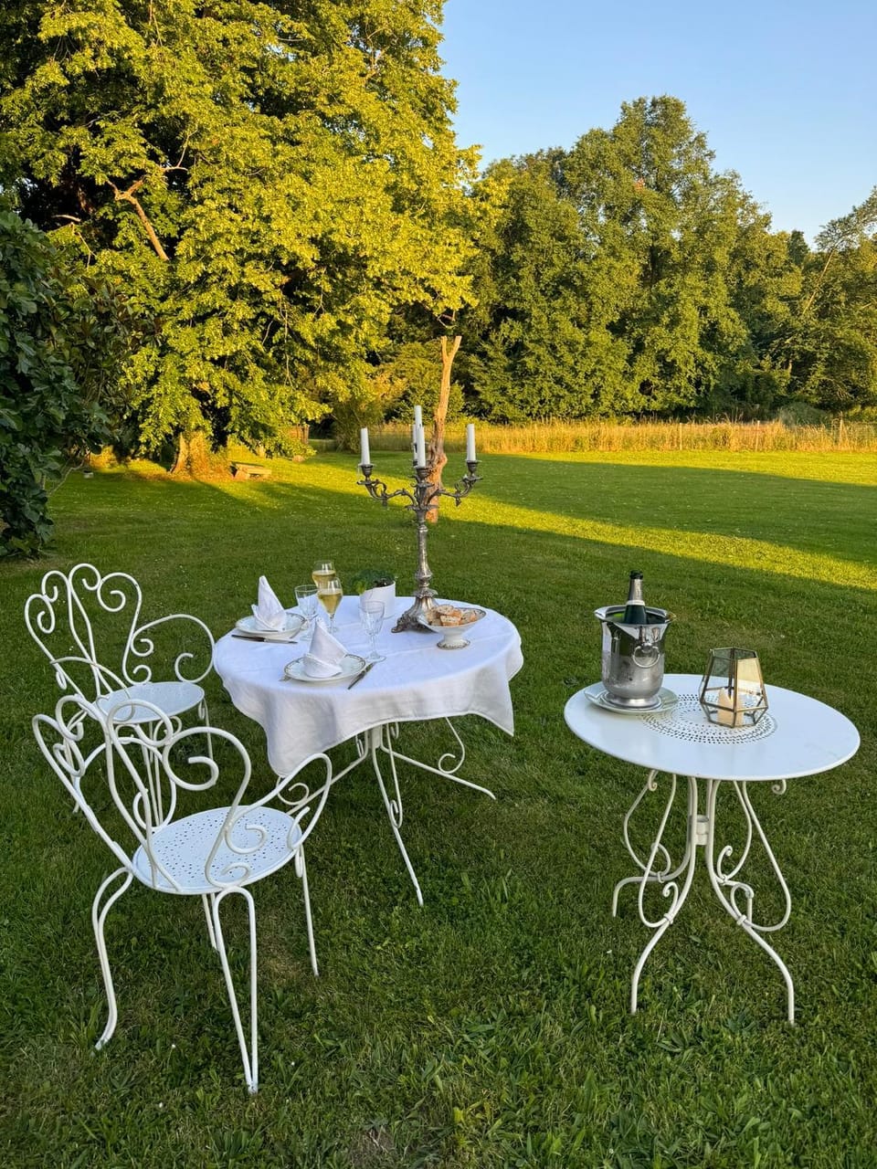 Garden, Garden, Garden view
