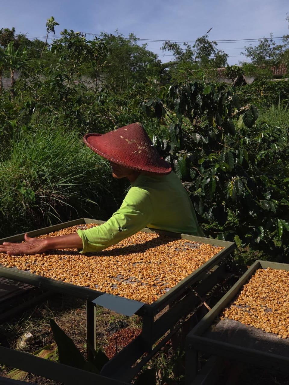 Edy's Farm Cottage Farm Stay in West Java