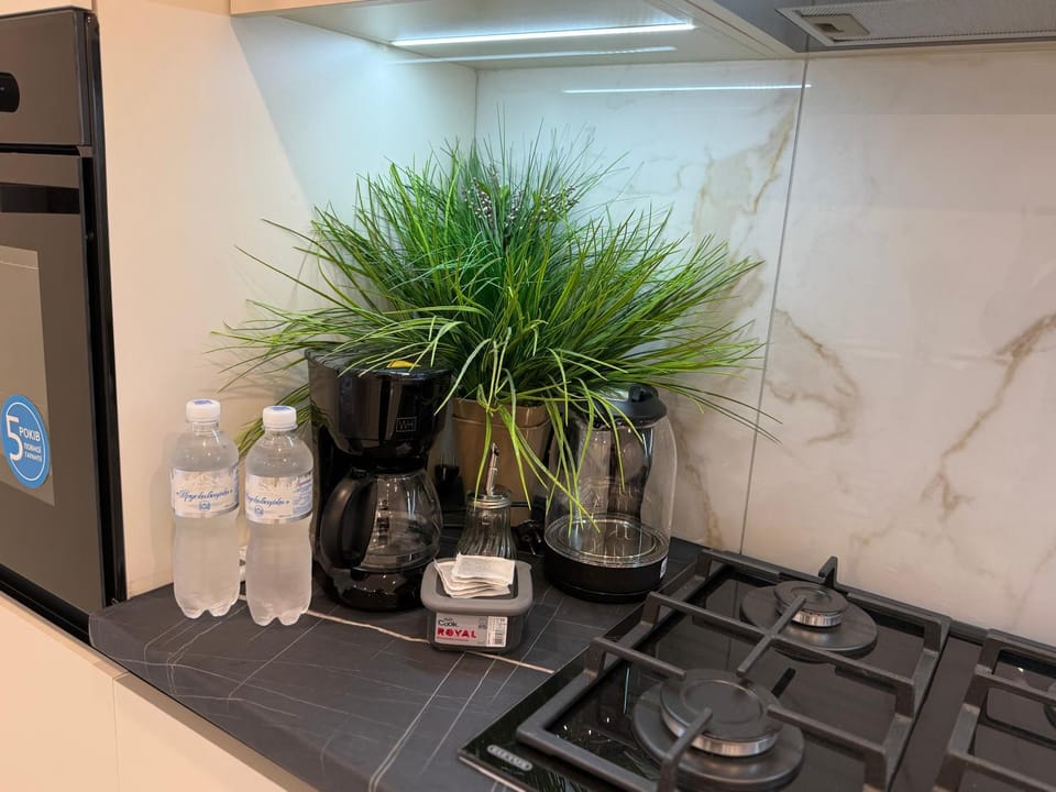 Перлина Проскурова Business Class Apartment in Ukraine
