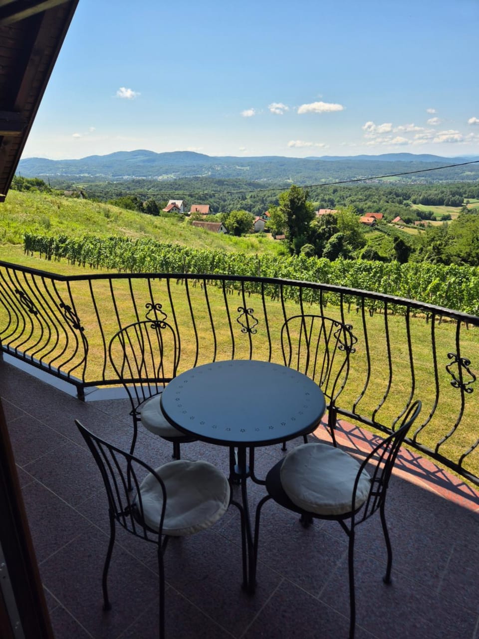 Vineyard Cottage - Ana House in Slovenia