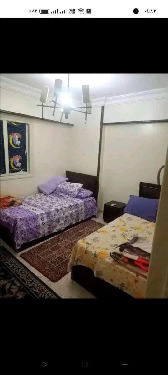 شقه مفروش Apartment in Alexandria
