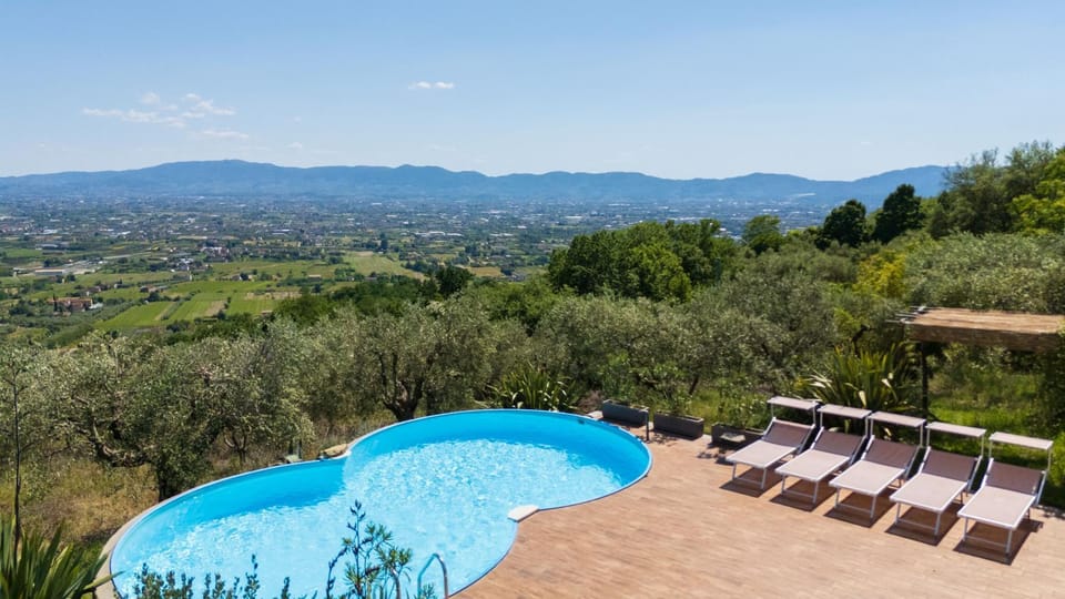 Garden, Solarium, Garden view, Pool view, Swimming pool, sunbed