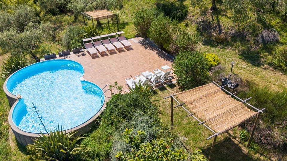 Garden, Solarium, Garden view, Pool view, Swimming pool, sunbed