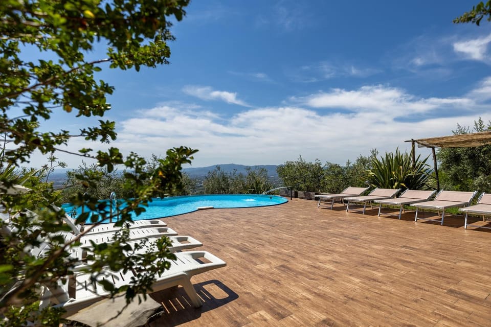 Garden, Solarium, Garden view, Pool view, Swimming pool, sunbed