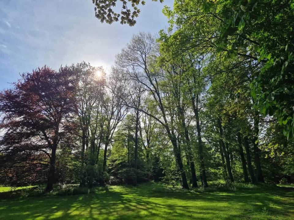 Chateau entierement privatise House in Belgium