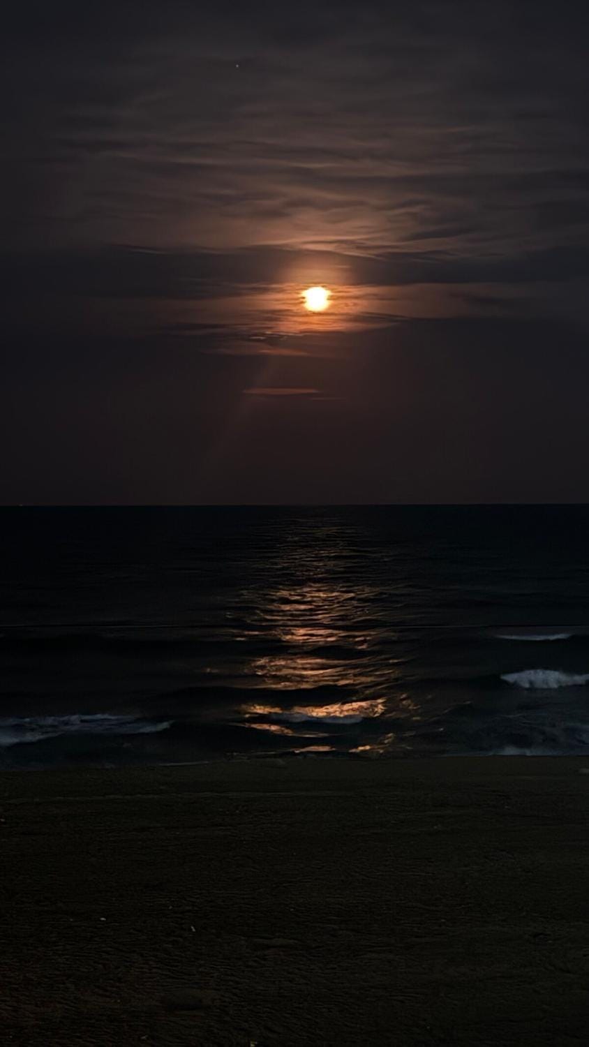 Sairos Serenity Space Nature lodge in Chennai