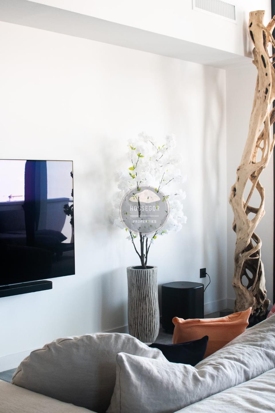 Communal lounge/ TV room, Living room