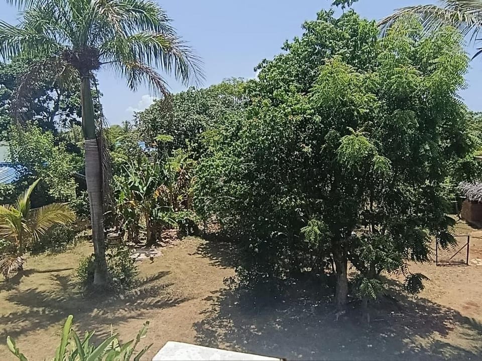 Alma Sana - Unplug in nature House in Samaná Province