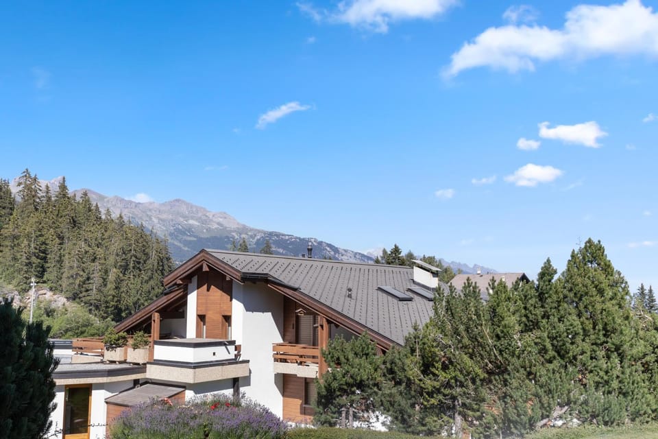 Patio, Mountain view