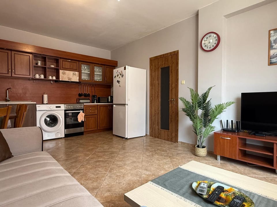 TV and multimedia, Kitchen or kitchenette, Living room, Photo of the whole room, oven, stove, toaster, washing machine