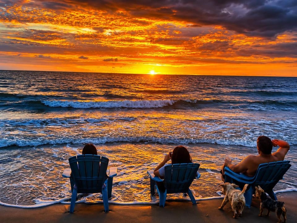 People, Beach, group of guests