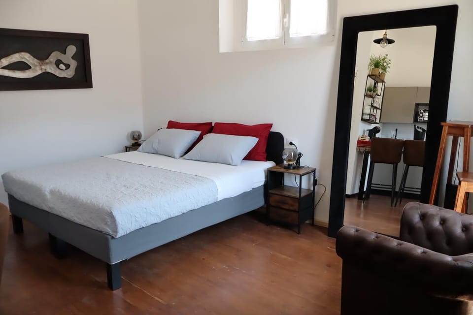 Al TEATRO -PORTA MERLONIA HOUSE Apartment in Forli