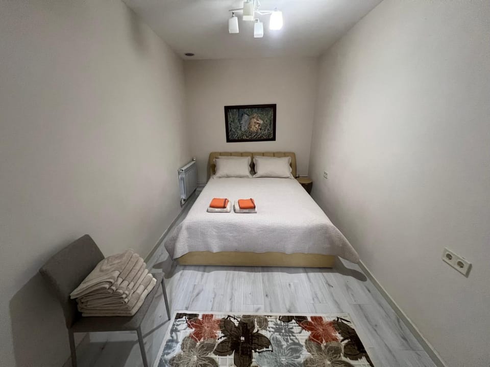 Sofi Apartments Apartment in Odessa