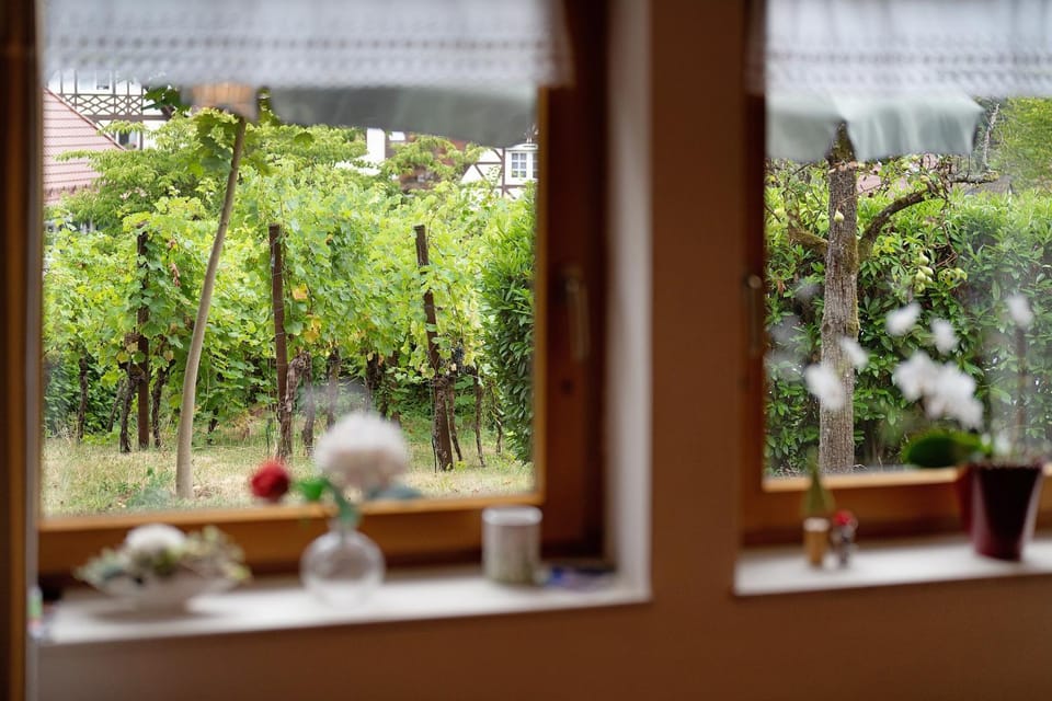 Ferienwohnung am Rebhang Apartment in Ortenau