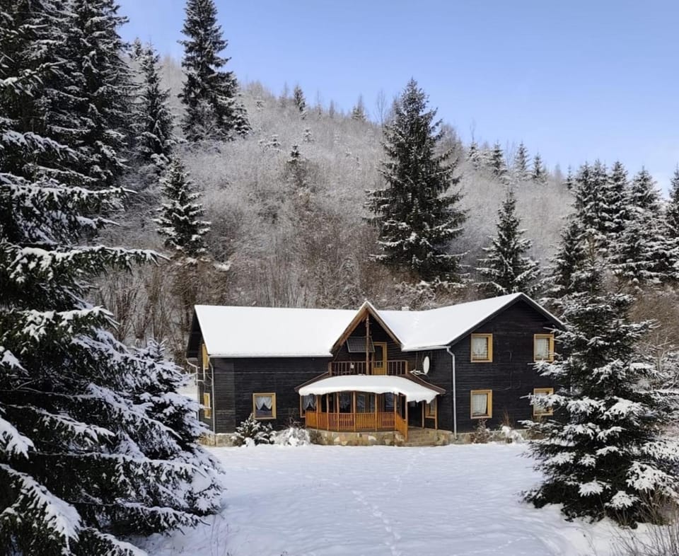 Várpatak Guesthouse House in Romania