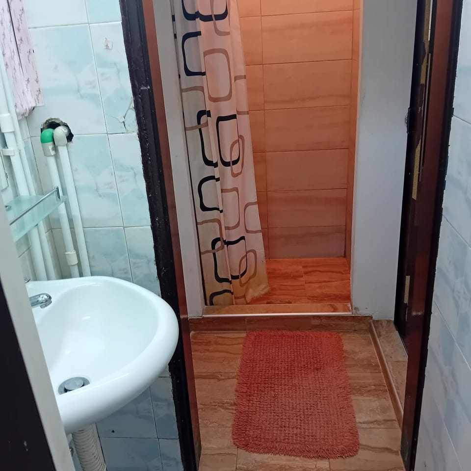 Apartment Viktor stan na dan Apartment in Vojvodina