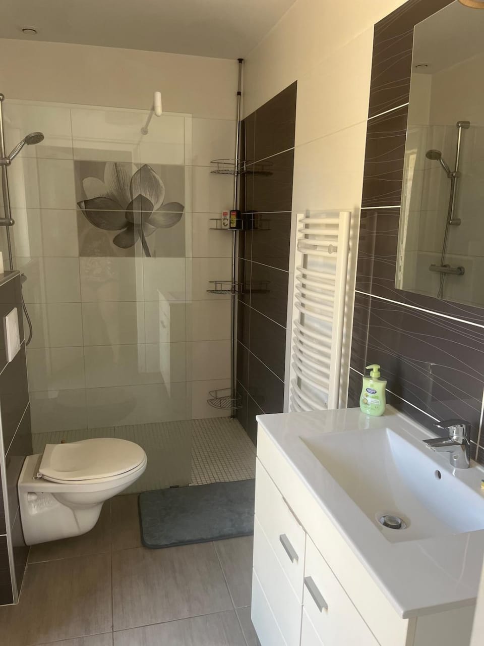 Shower, Toilet, towels