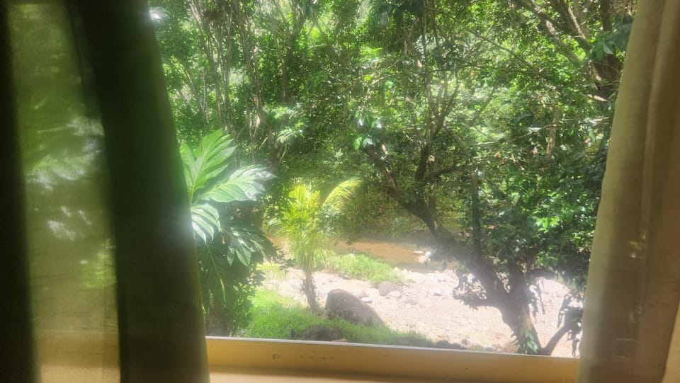Natural landscape, Garden, Garden view