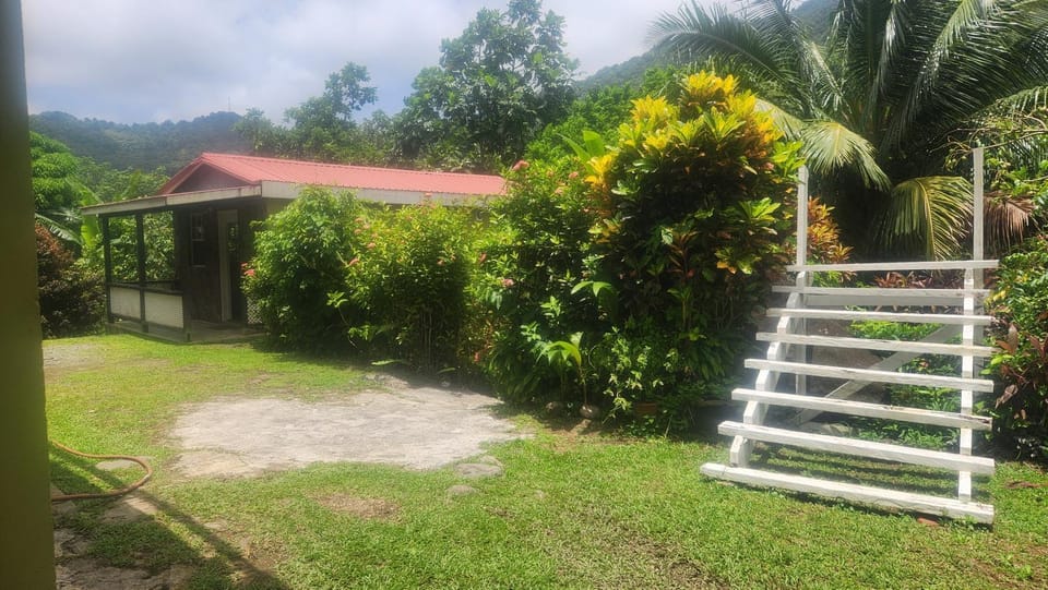 Natural landscape, Garden, Garden view